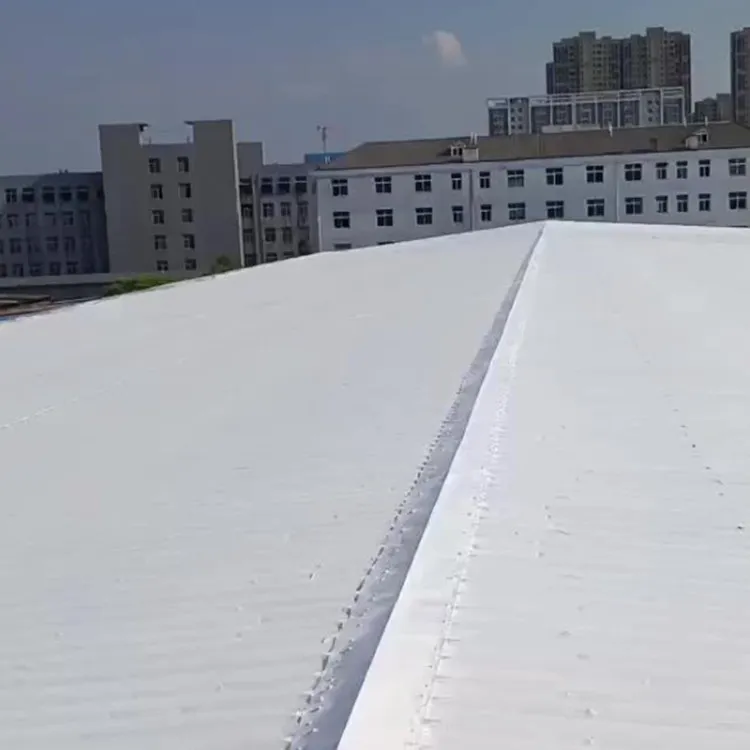 roof paint
